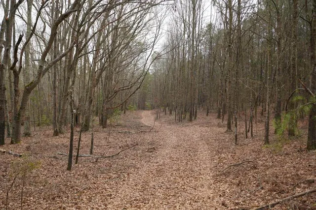 $199,900 | 0 Cantrell Drive, Chesnee, SC 29323