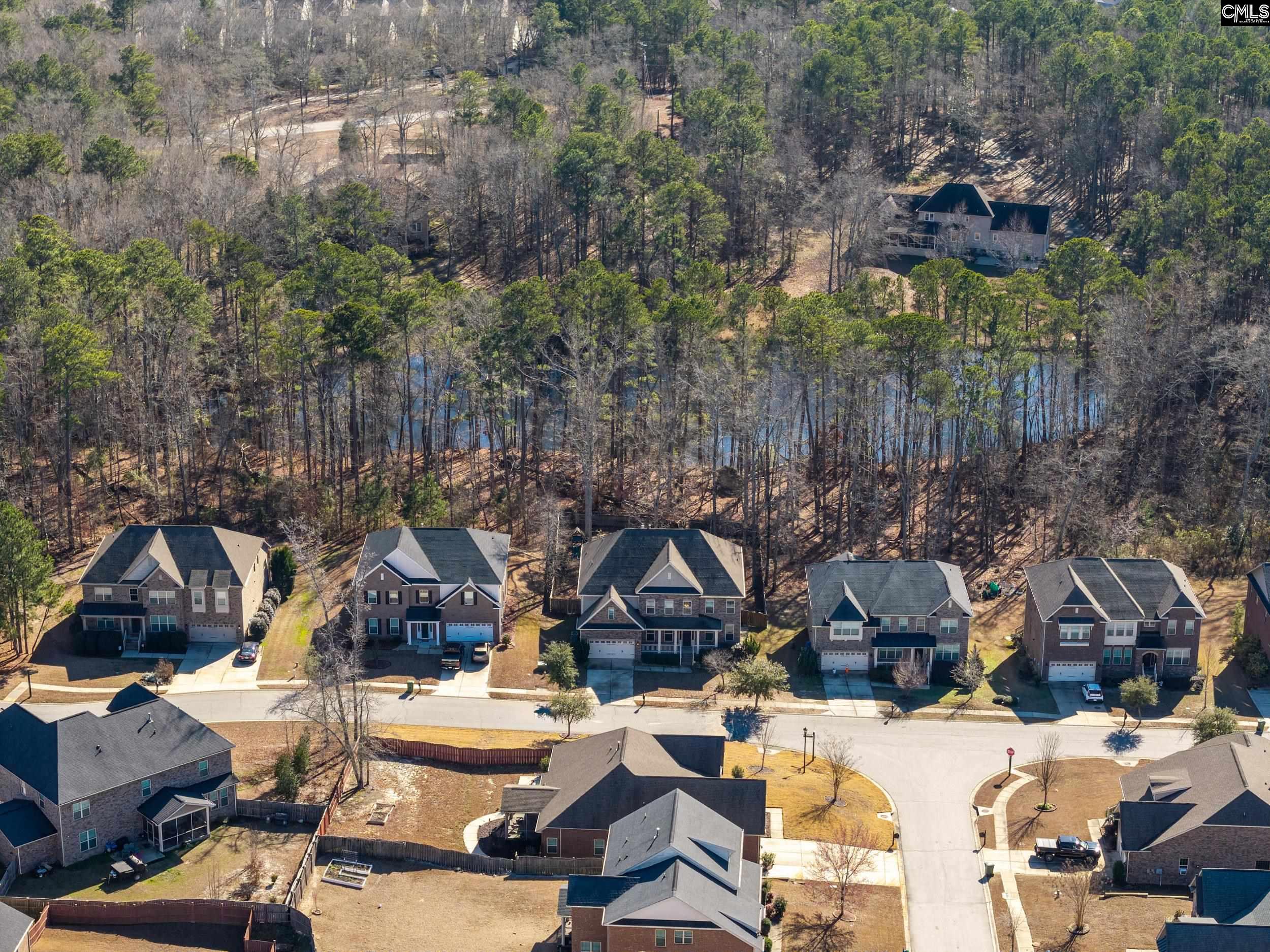 40 Wading Bird Loop Blythewood, SC 29016 - Photo 24 of 26 an aerial view of multiple house