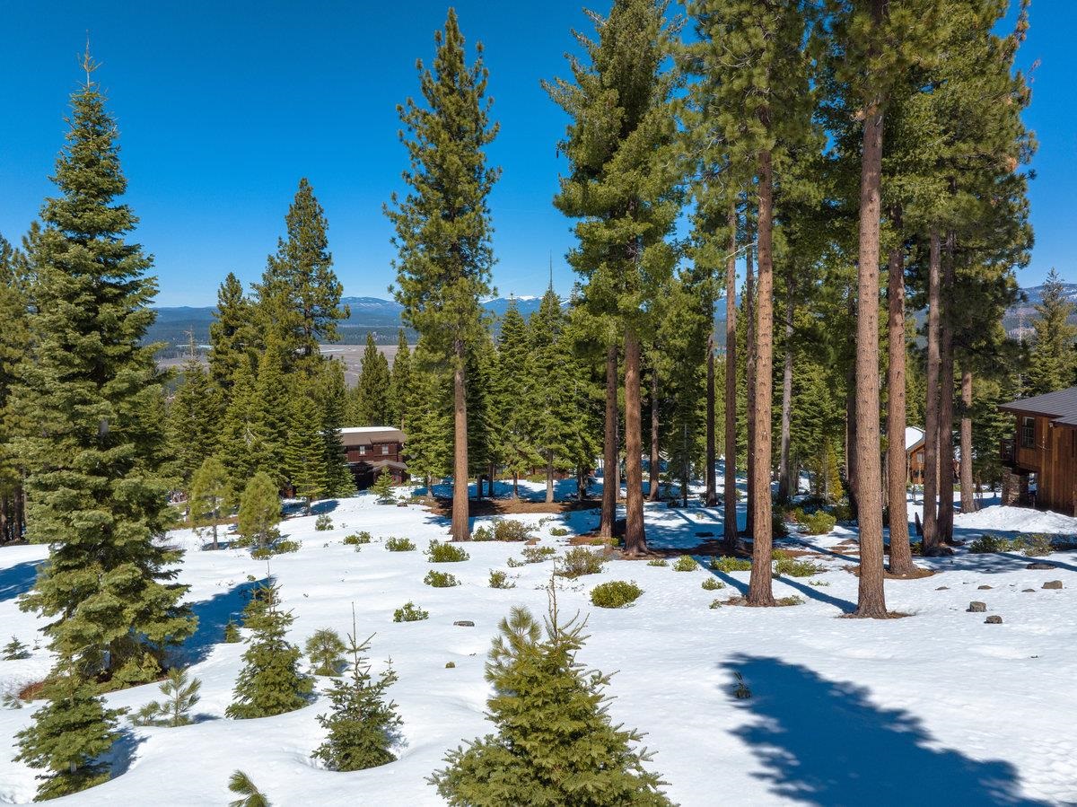 2532 North Summit Place Truckee, CA 96161 - Photo 3 of 18 a view of outdoor space with trees