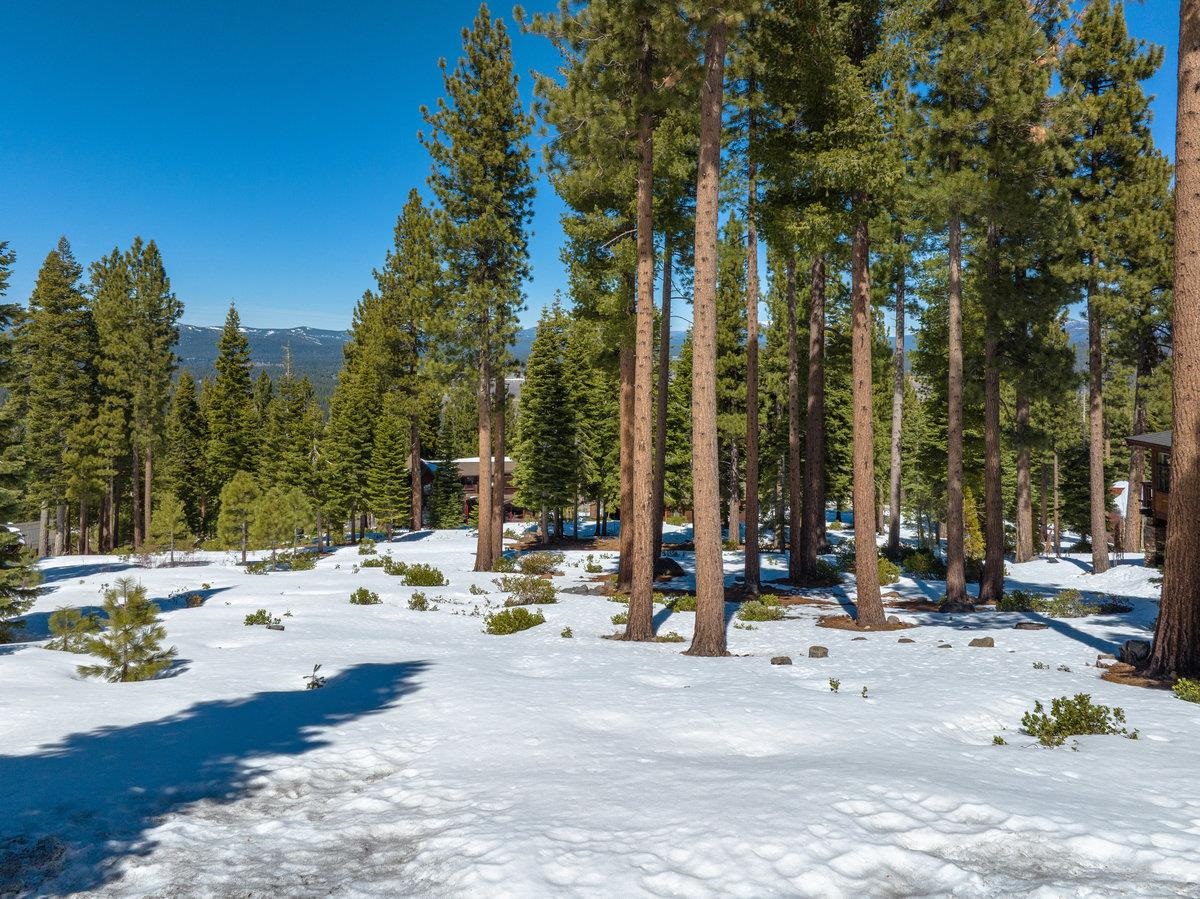 2532 North Summit Place Truckee, CA 96161 - Photo 5 of 18 a view of a park with swings and slides