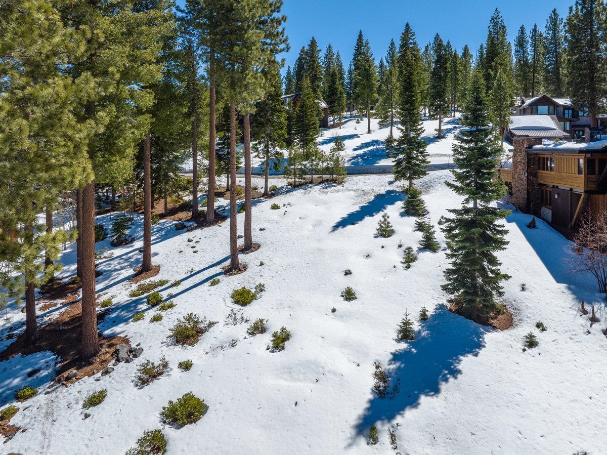 2532 North Summit Place Truckee, CA 96161 - Photo 7 of 18 a view of a yard with flowers in front of house