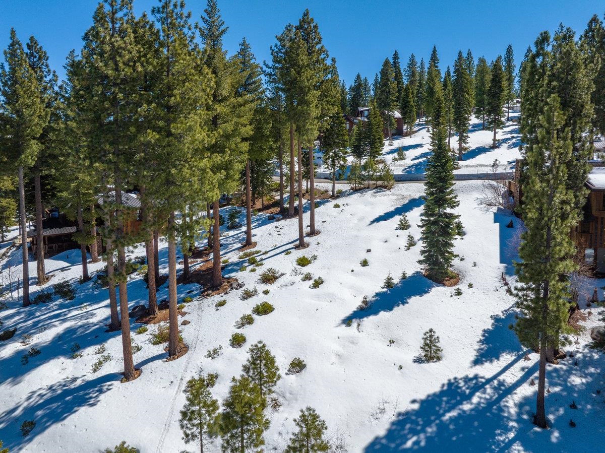 2532 North Summit Place Truckee, CA 96161 - Photo 8 of 18 a view of outdoor space with trees