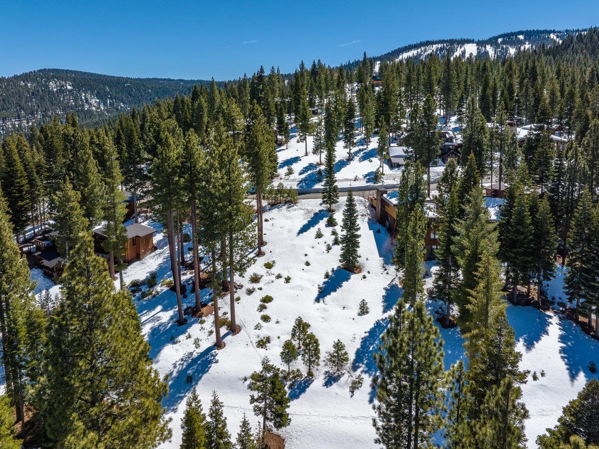 2532 North Summit Place Truckee, CA 96161 - Photo 9 of 18 a view of a city