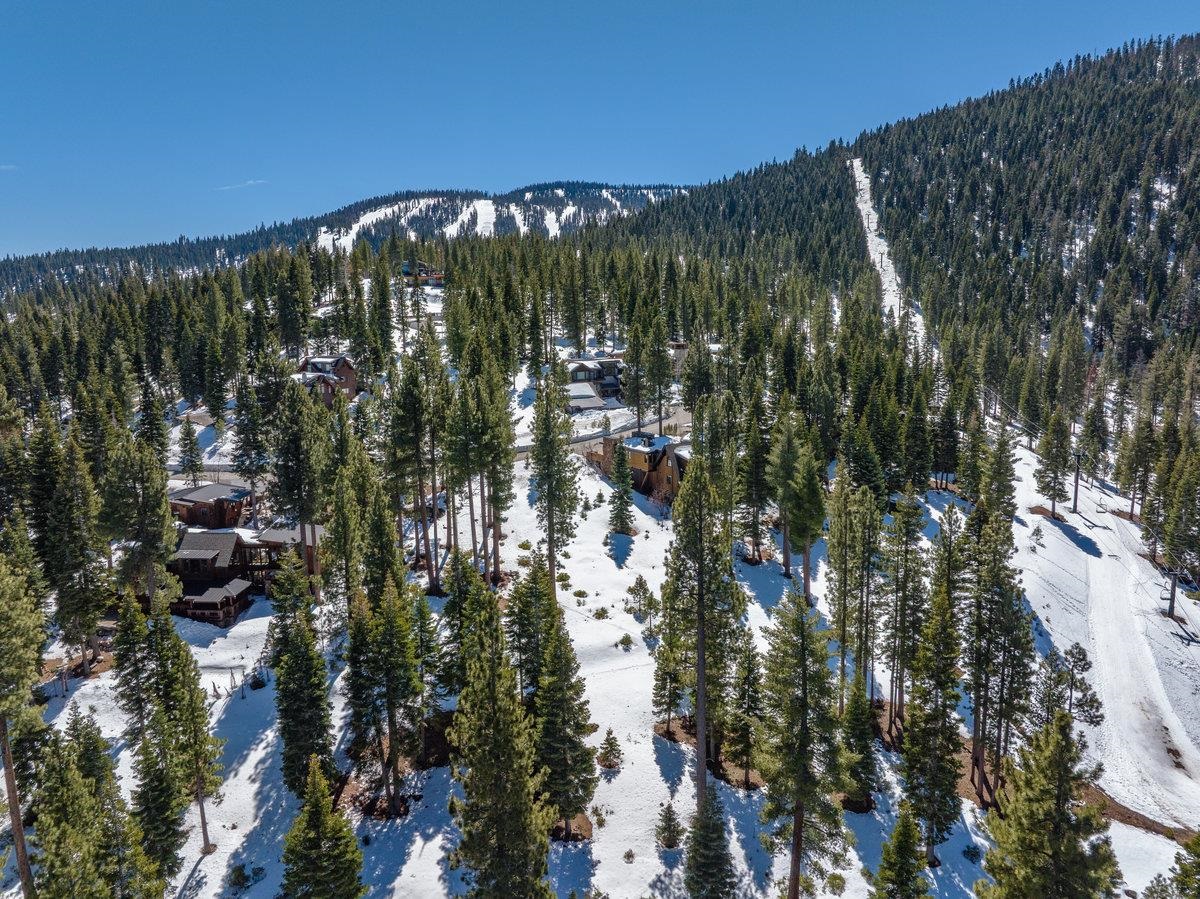 2532 North Summit Place Truckee, CA 96161 - Photo 10 of 18