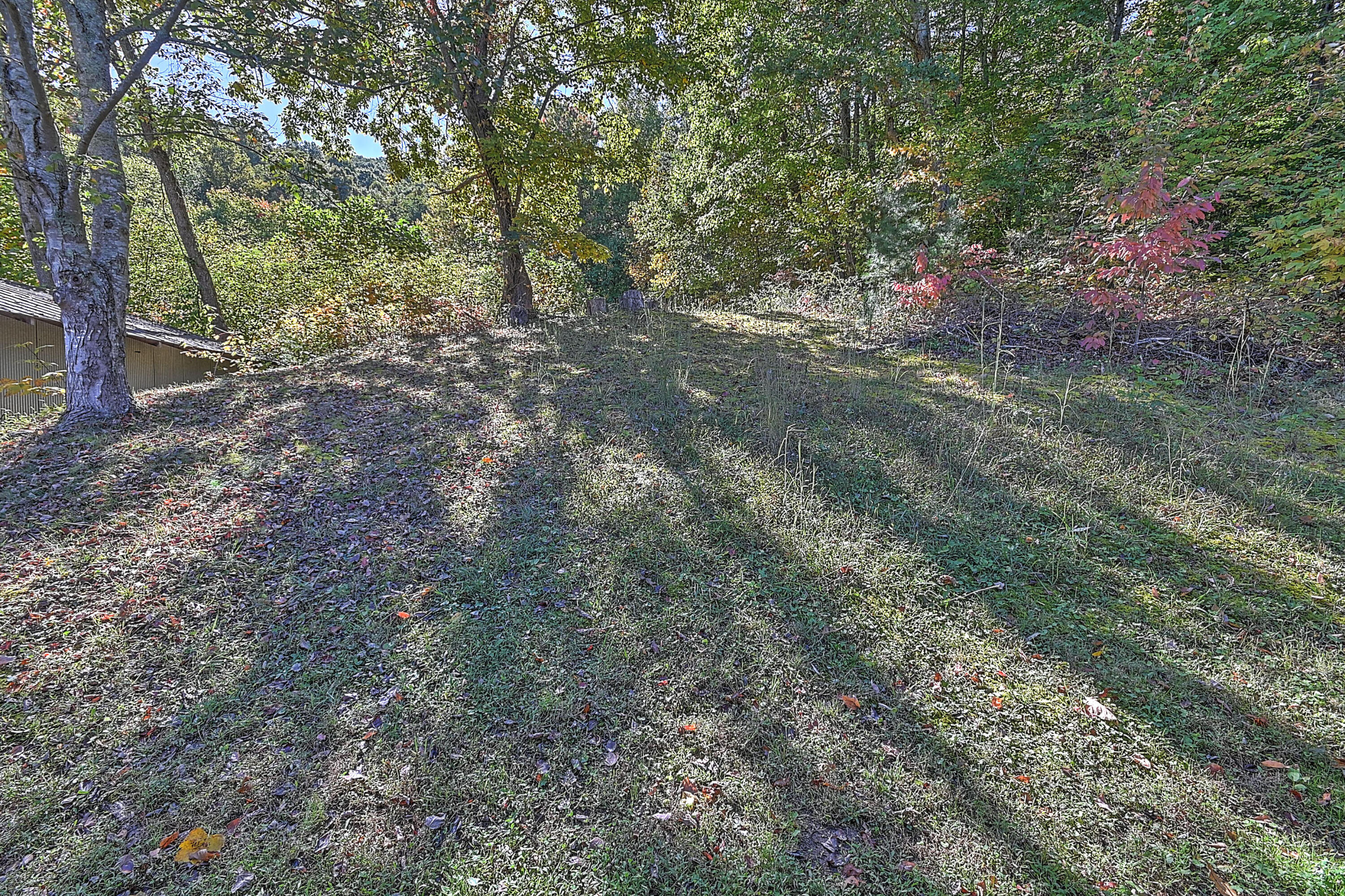420 Bearfield Road Chuckey, TN 37641 - Photo 36 of 47 Bearfield-34