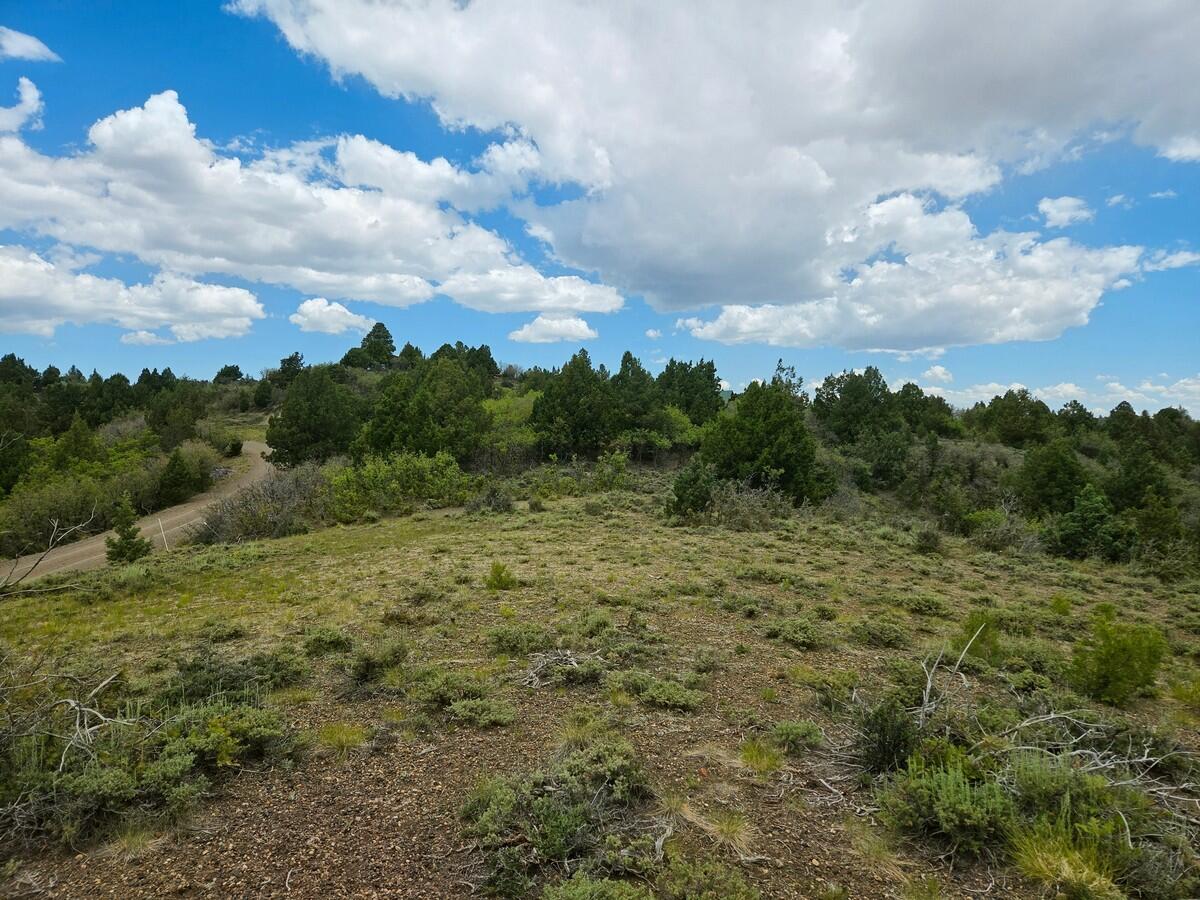 West Silverado Ridge Alton, UT 84710 - Photo 4 of 24 Of the Property3