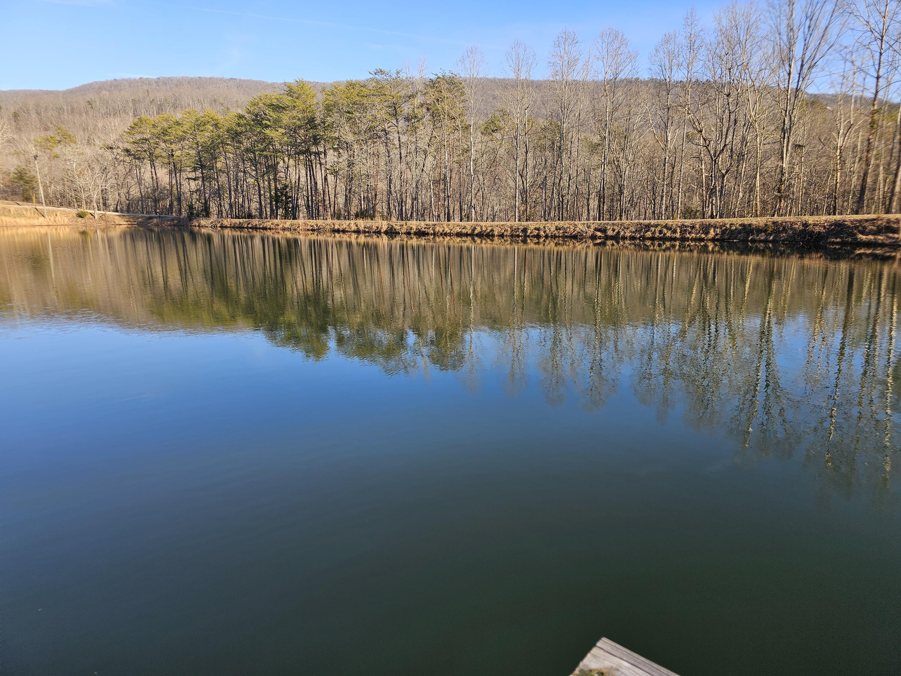 2970 Newsome Gap Road Rising Fawn, GA 30738 - Photo 24 of 24 20250204_162956