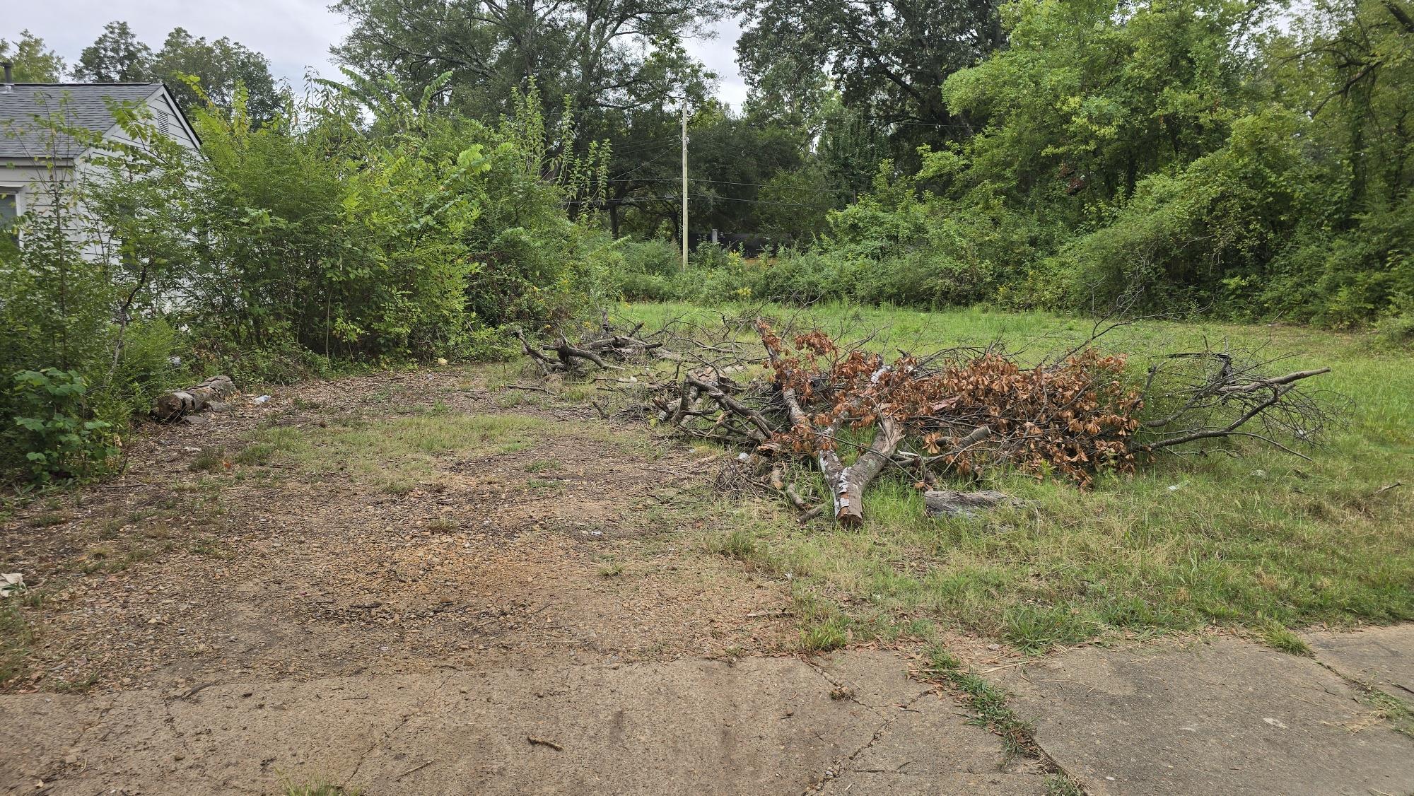 3781 Miami Road Memphis, TN 38111 - Photo 2 of 2 View of yard