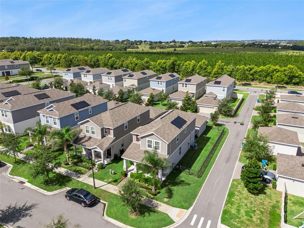 1372 Roxy Lane Winter Garden, FL 34787 - Photo 41 of 46 Gallery Image 41