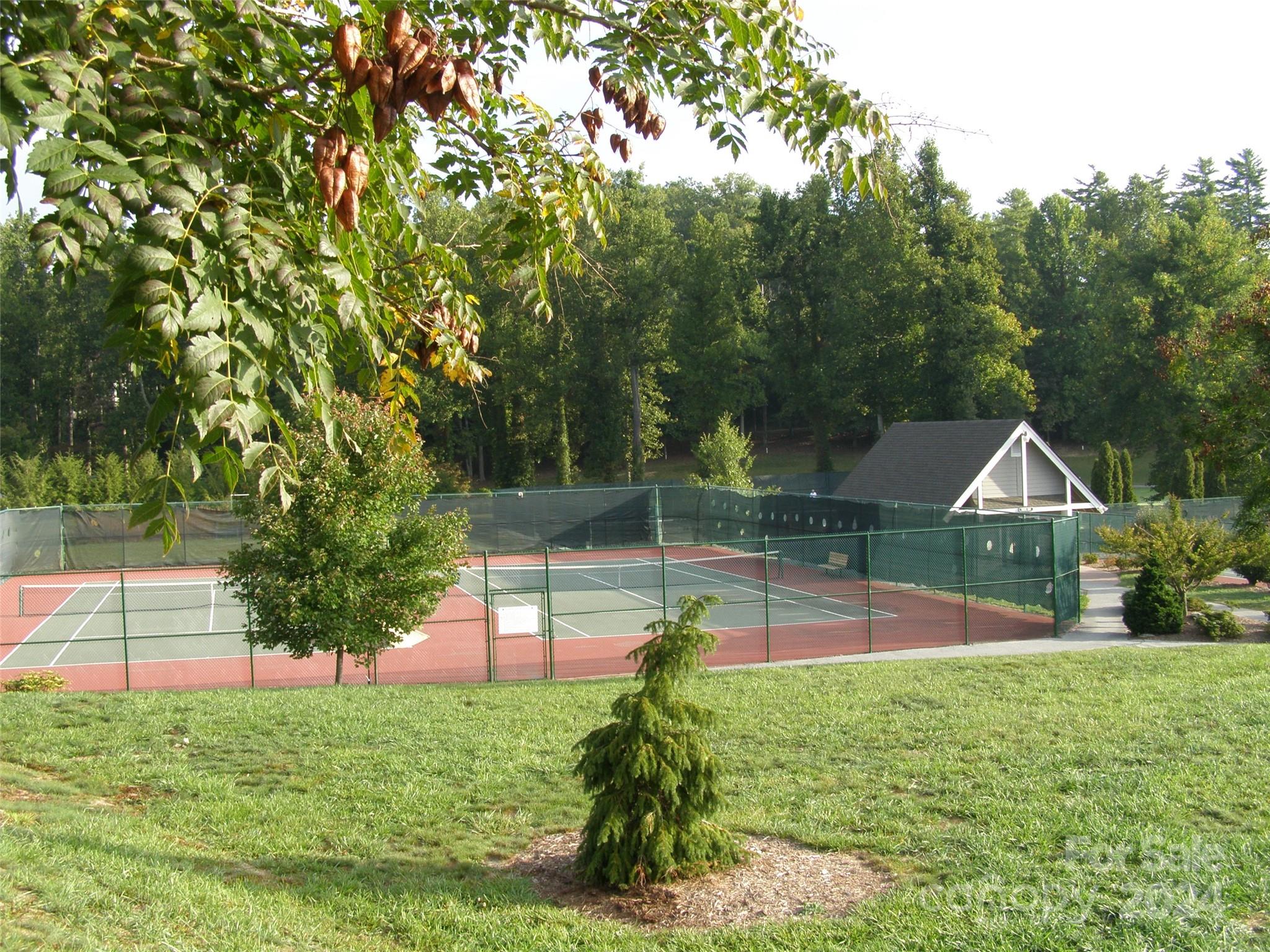 103 Chestnut Way Flat Rock, NC 28731 - Photo 6 of 6 a view of a backyard