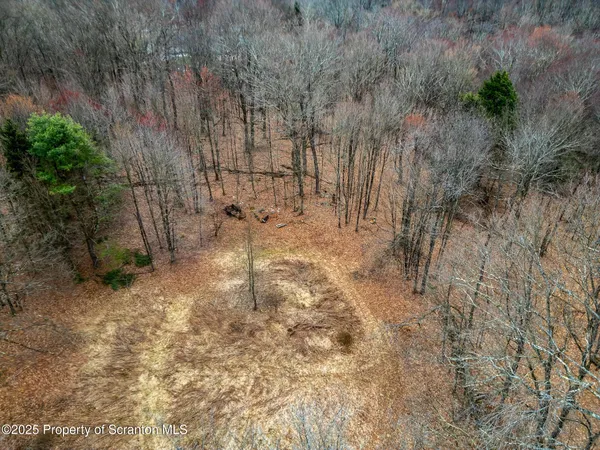 a view of empty room with trees
