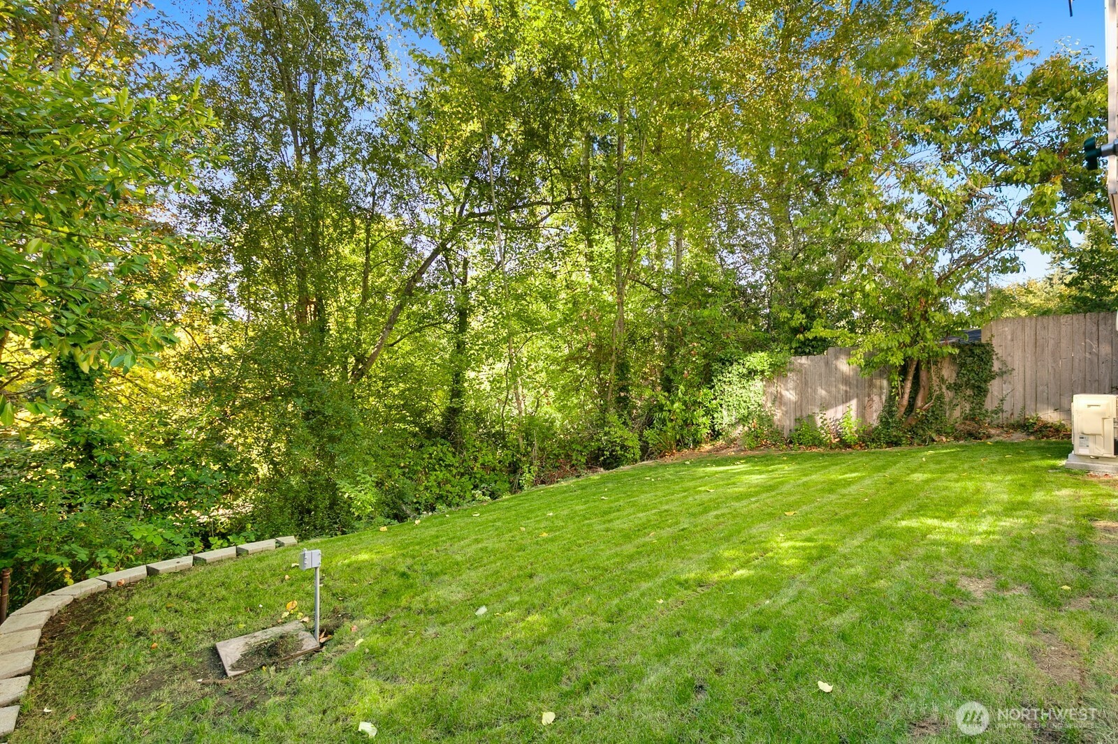 4531 26th Avenue Southwest Seattle, WA 98106 - Photo 21 of 22 a view of a big yard with plants and a large tree