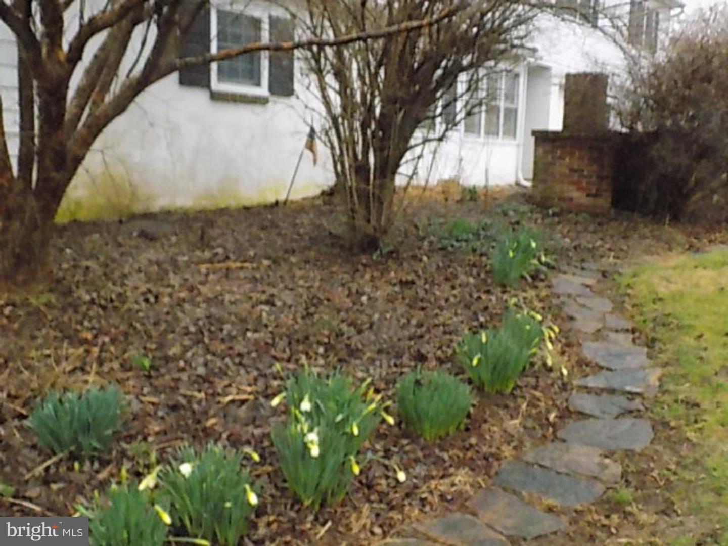 96 Violet Drive Kennett Square, PA 19348 - Photo 18 of 21 Exterior