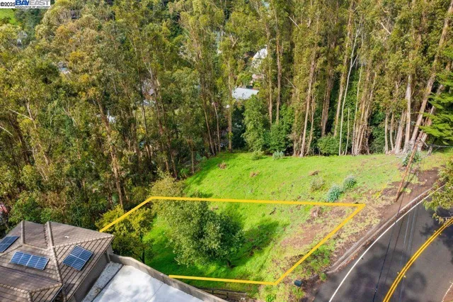 a view of a yard with plants