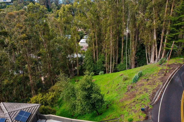 an aerial view of residential house with green space