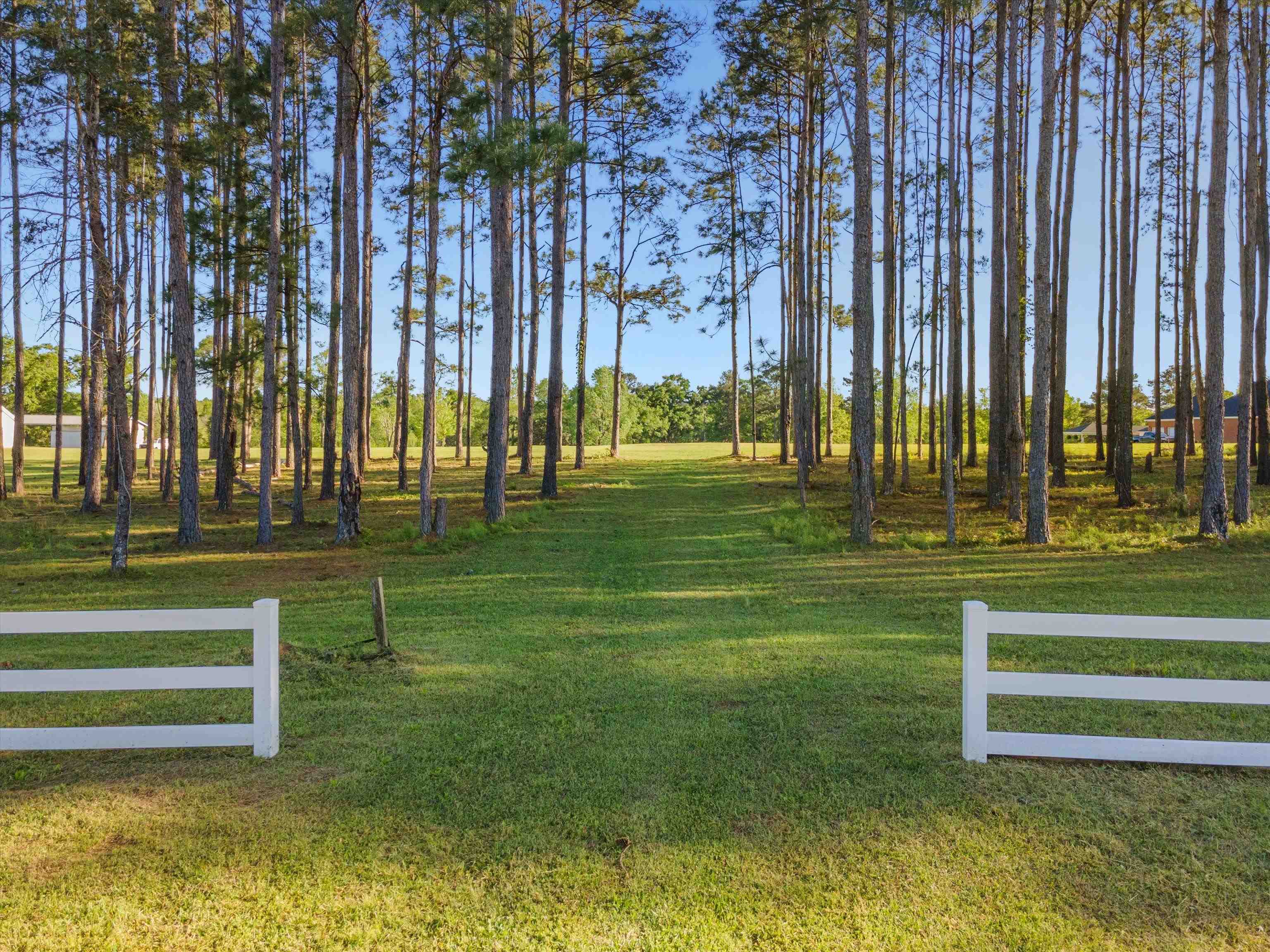 1115 Glory Road Quincy, FL 32352 - Photo 24 of 36
