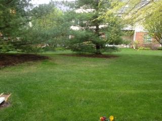 2435 Raleigh Court, Unit 7 Schaumburg, IL 60193 - Photo 8 of 8
