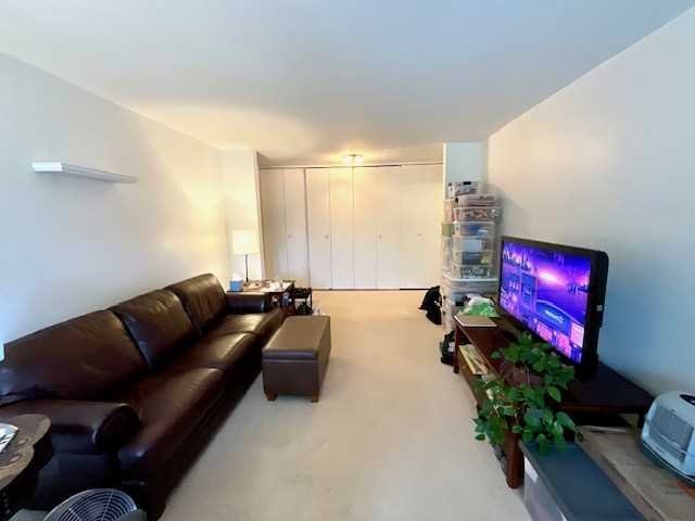 3 Hook Road, Unit 55G Poughkeepsie, NY 12601 - Photo 3 of 13 a living room with furniture a flat screen tv and a potted plant