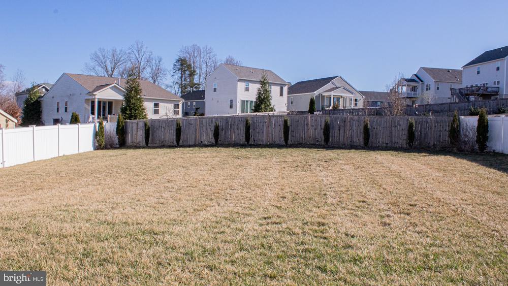 145 Wayland Road Culpeper, VA 22701 - Photo 14 of 14 Spacious yard with serene surroundings.