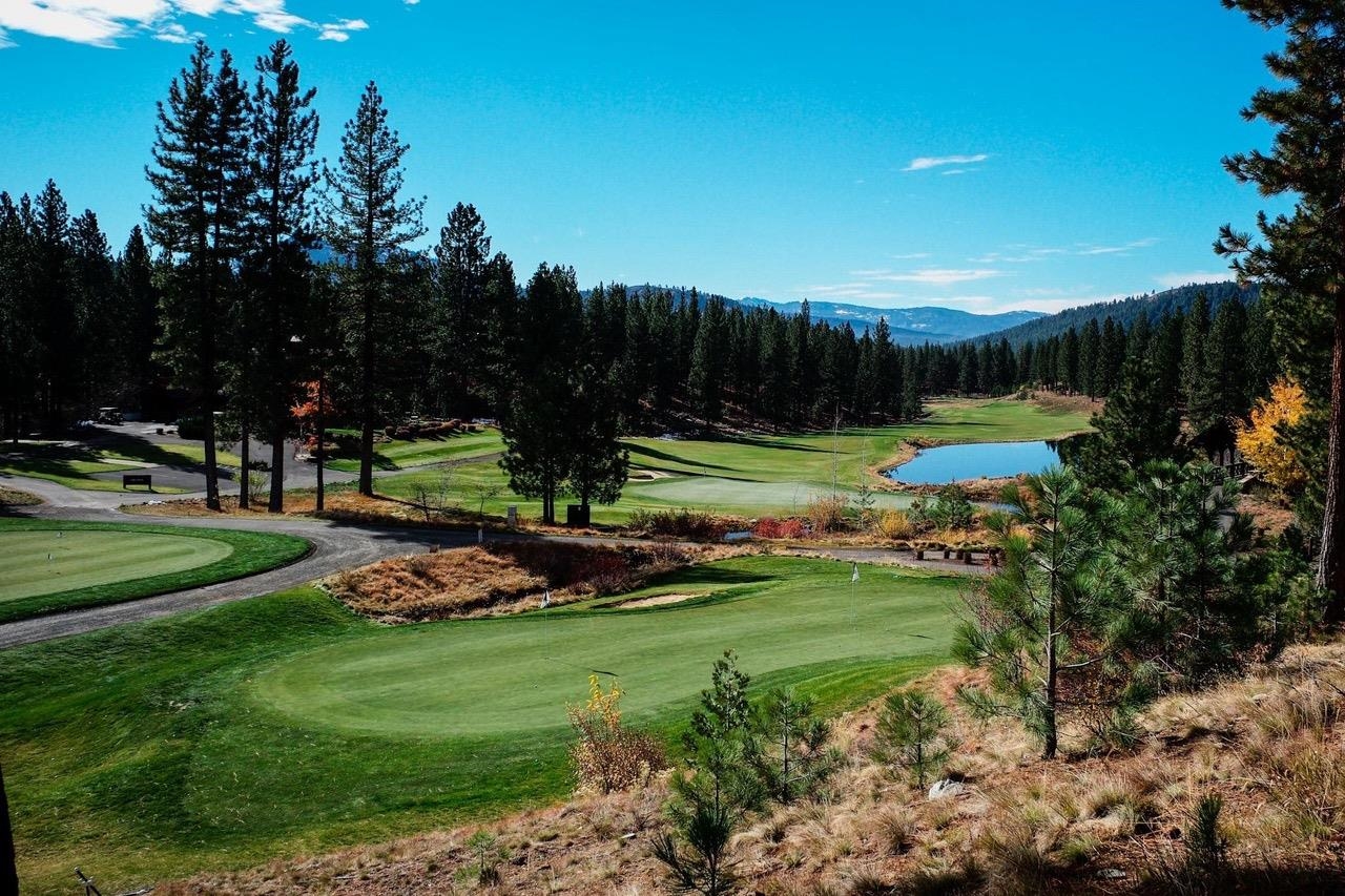 a view of a park with large trees