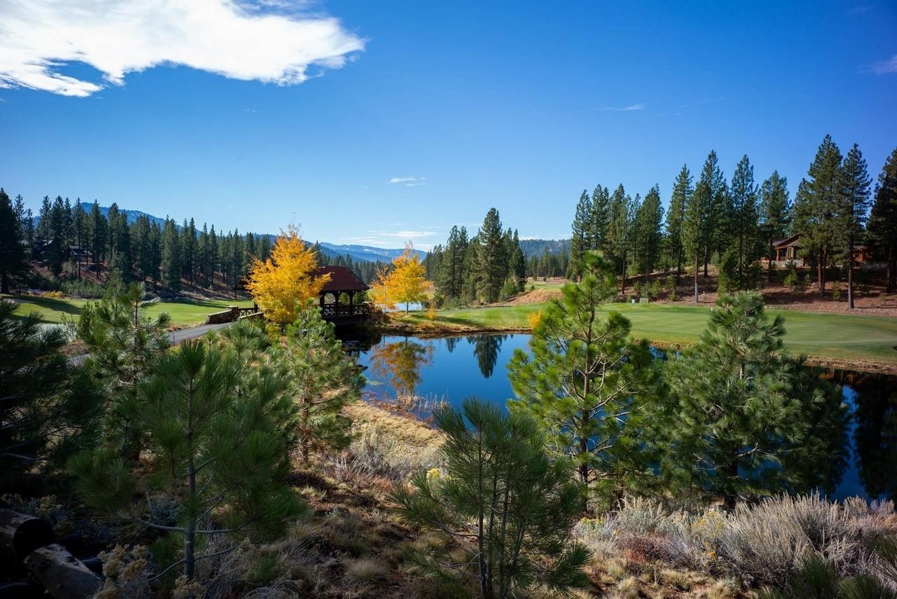 462 Grizzly Ranch Road Portola, CA 96122 - Photo 6 of 8 a view of a house with a yard and trees