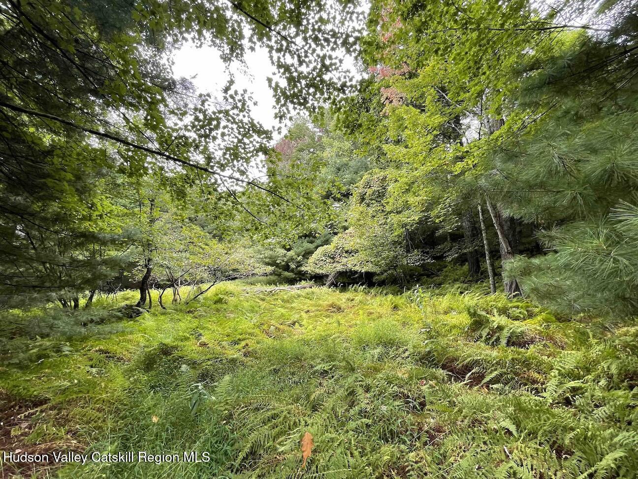 0 Oak Ridge Road Ellenville, NY 12428 - Photo 5 of 18 Hill10ac3