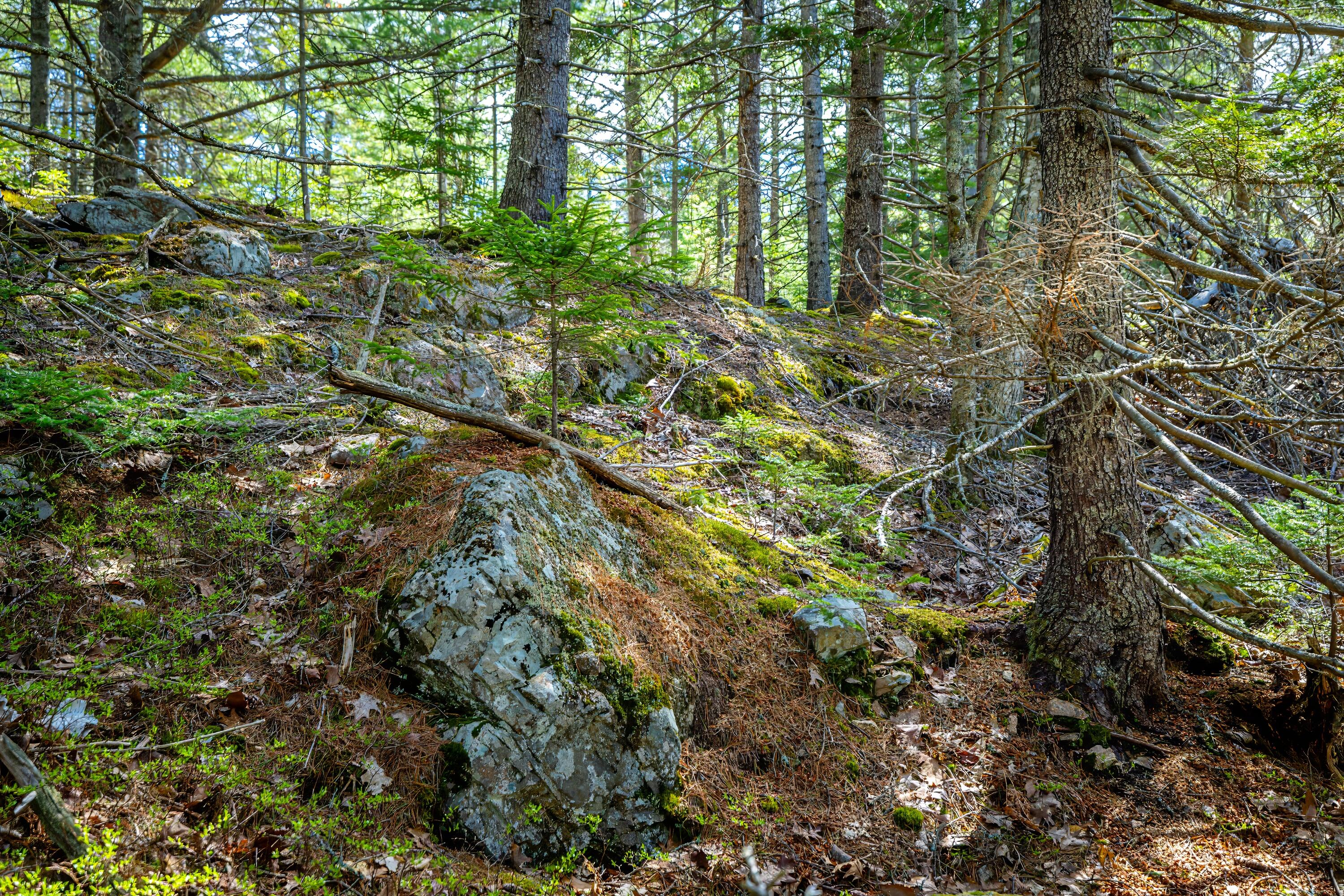 Lot 9 Bluff Road Bar Harbor, ME 04609 - Photo 21 of 33 Copy of 57-Lot 9, Bluff Road-DTP