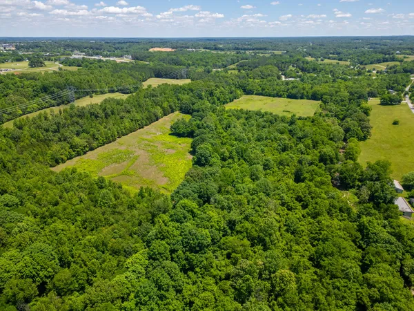 a view of a lush green field with lots of plants in it