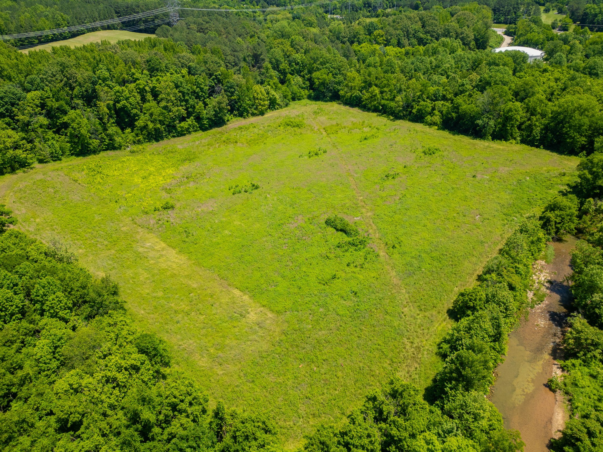 0 R A Benton Lane Springfield, TN 37172 - Photo 6 of 10 a view of a large trees with plants