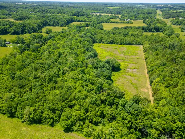 a view of a green yard with an outdoor space and seating