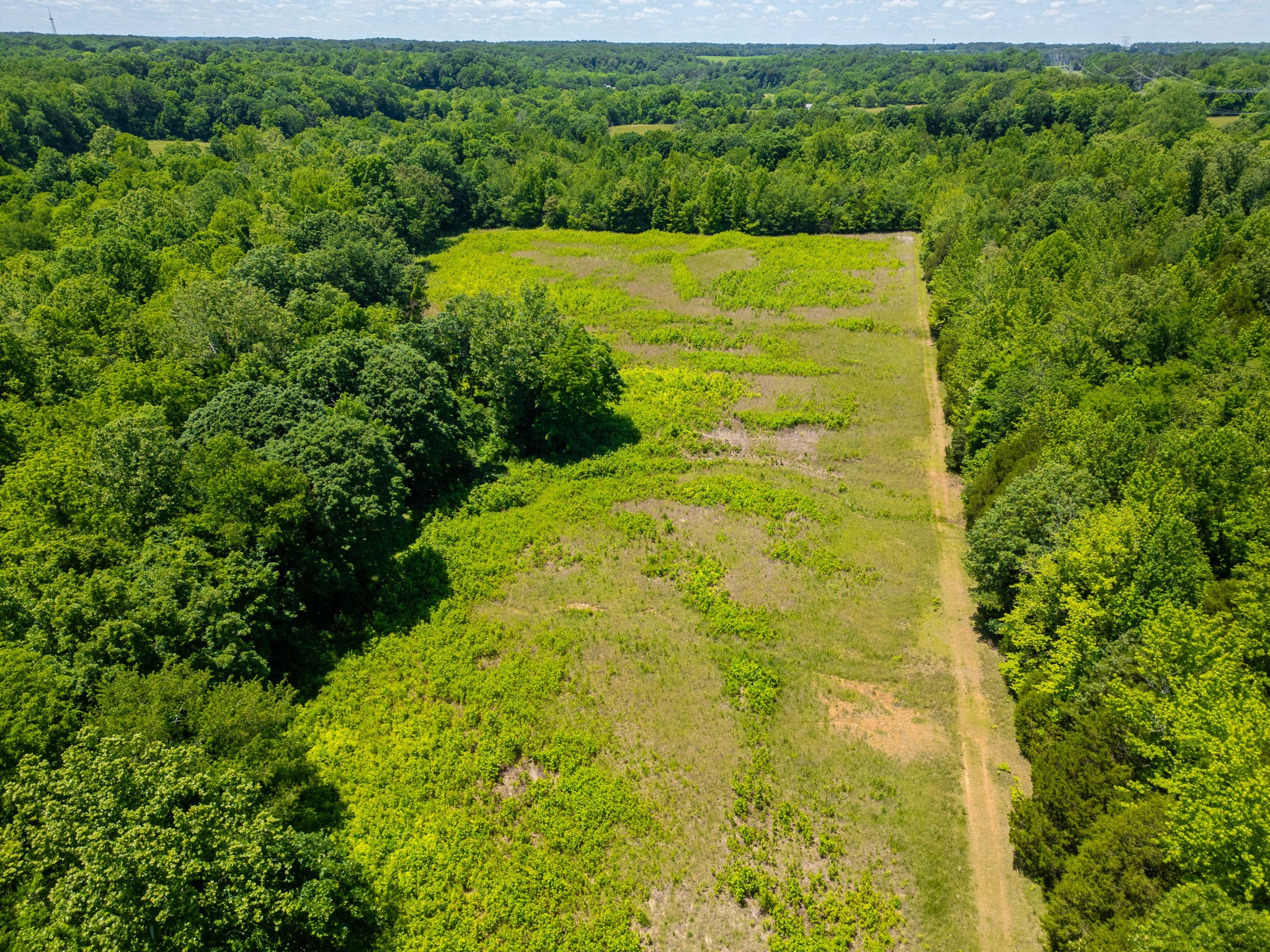 0 R A Benton Lane Springfield, TN 37172 - Photo 10 of 10 a view of a big yard with large trees