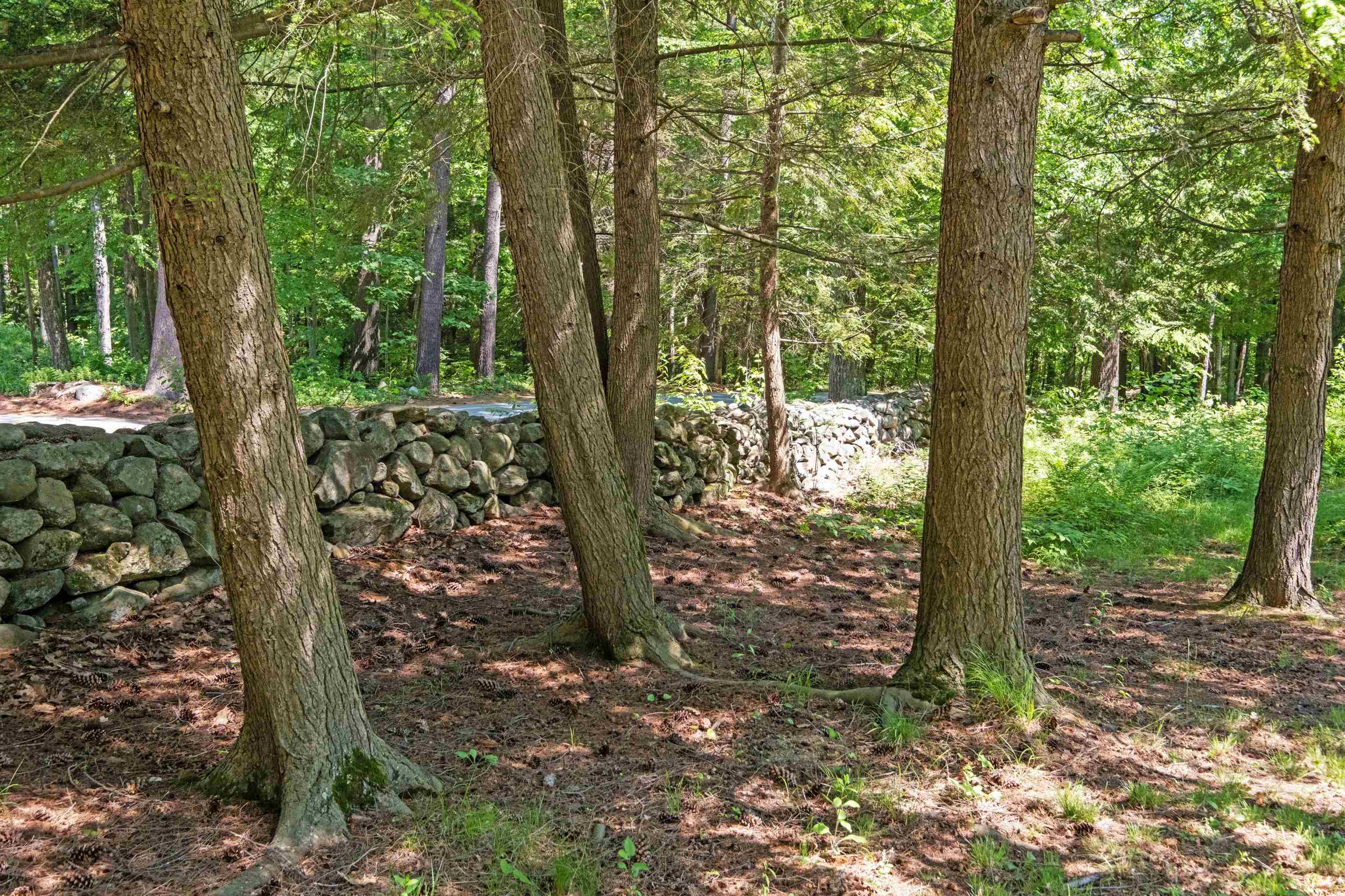 53 Woodhill Hooksett Road Bow, NH 03304 - Photo 13 of 40 Gallery Image 13