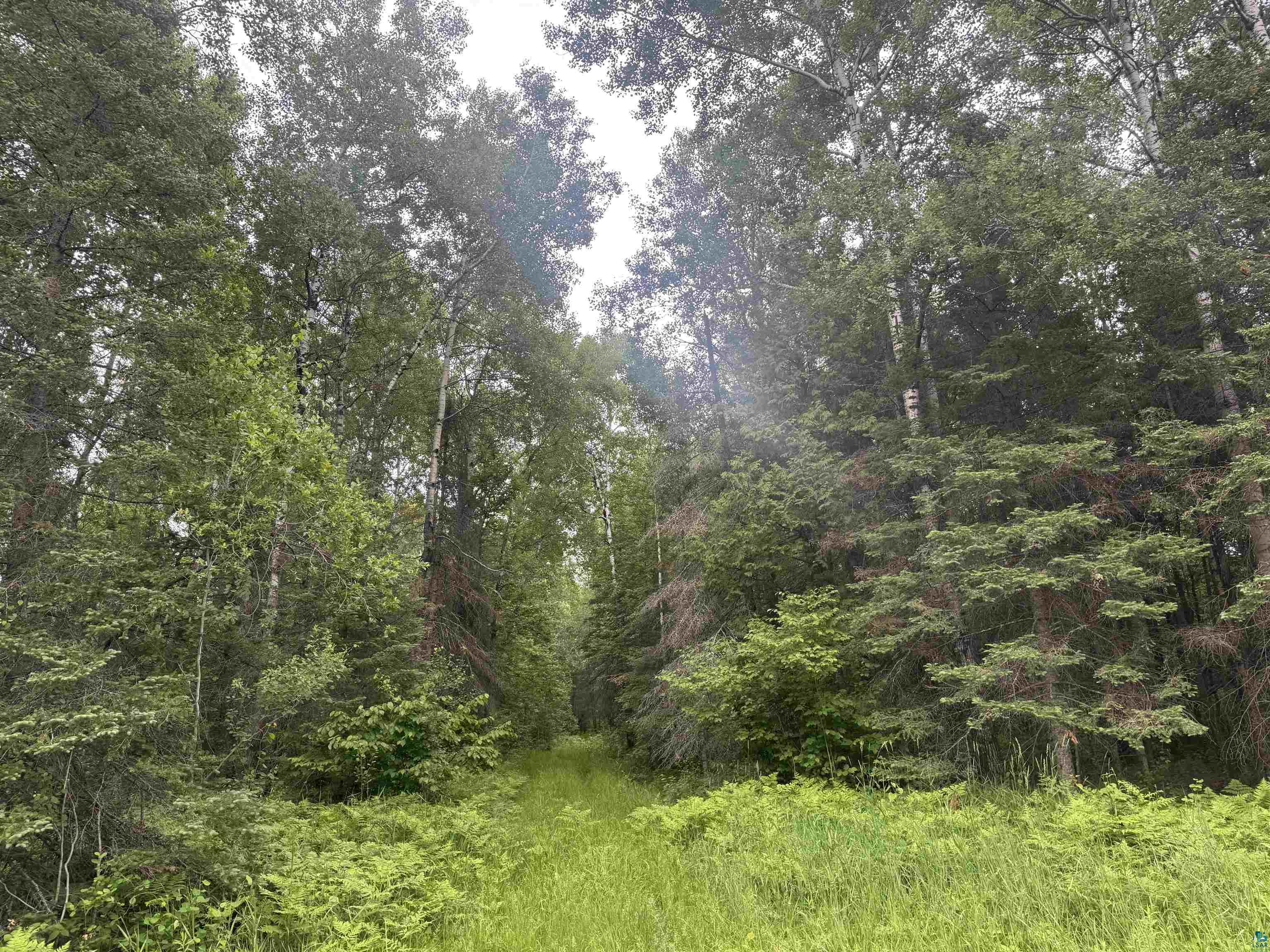 3-xxx Quaal Road Forbes, MN 55738 - Photo 12 of 26