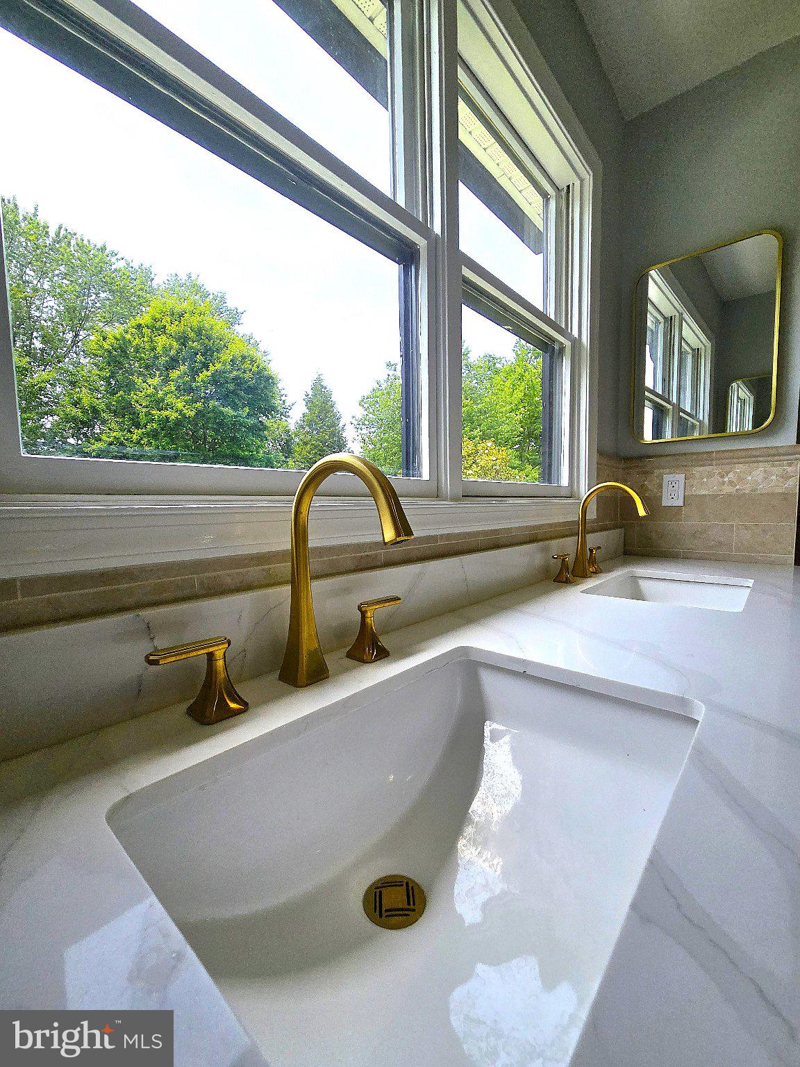 126 Blackwell Road Pennington, NJ 08534 - Photo 3 of 14 Elegant dual sinks with golden accents.