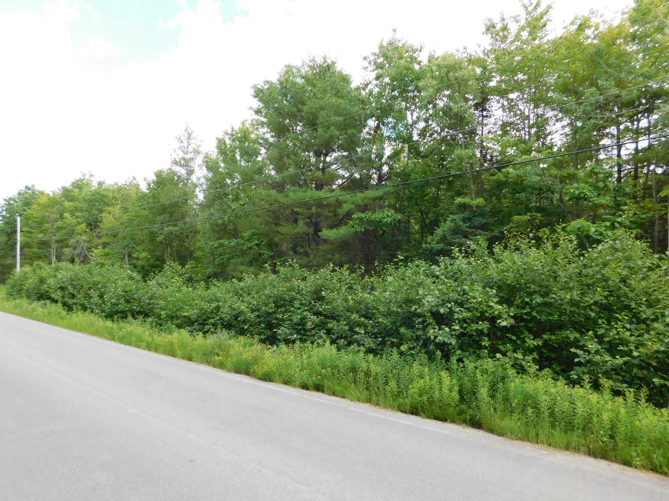 Lot 2 Old Belfast Road Frankfort, ME 04438 - Photo 7 of 9 7 (1)
