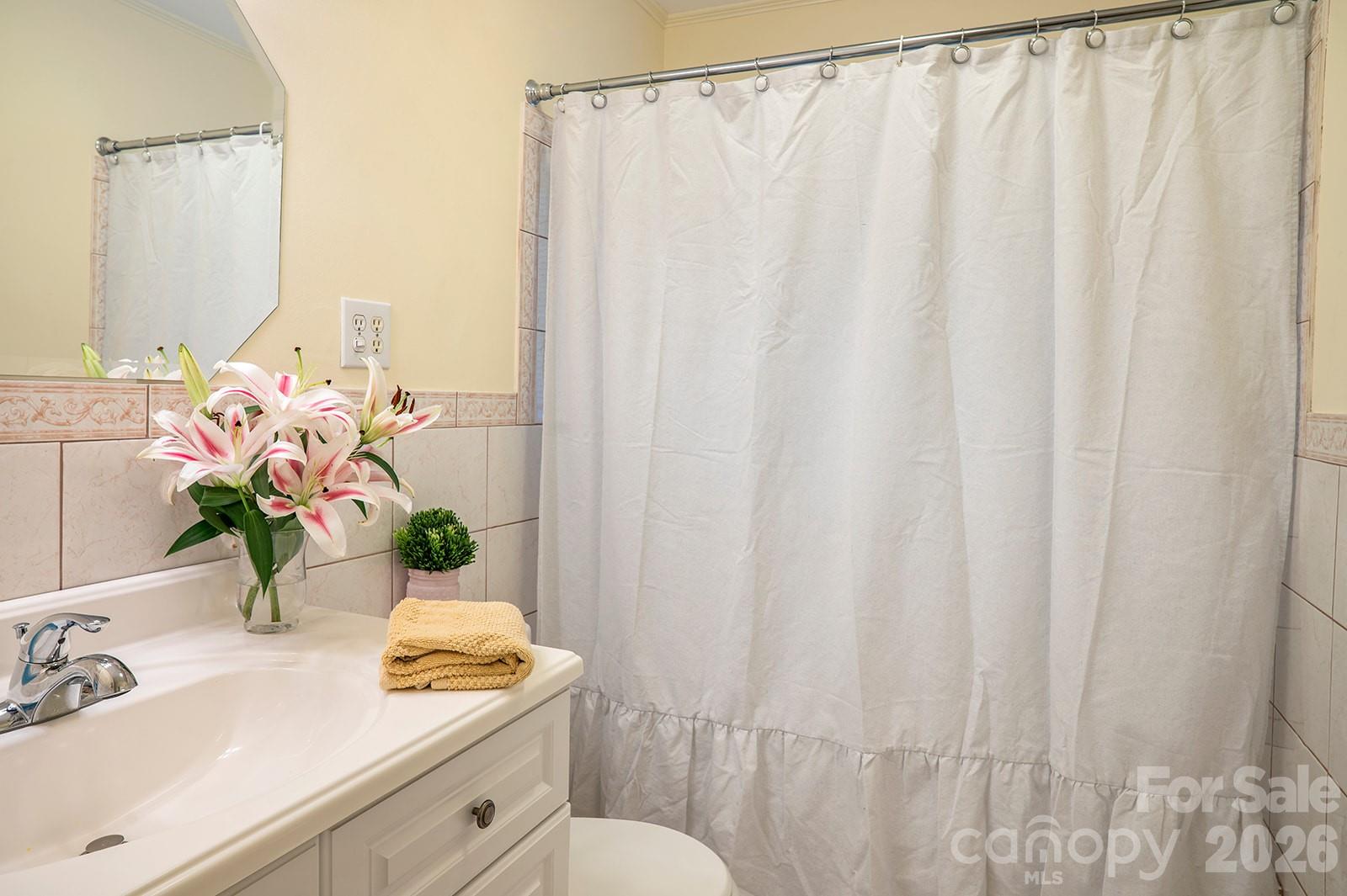 1235 Ashby Lane Hendersonville, NC 28791 - Photo 29 of 45