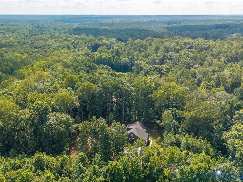 1146 Clayton Road Powhatan, VA 23139 - Photo 1 of 42 a view of a forest with an trees