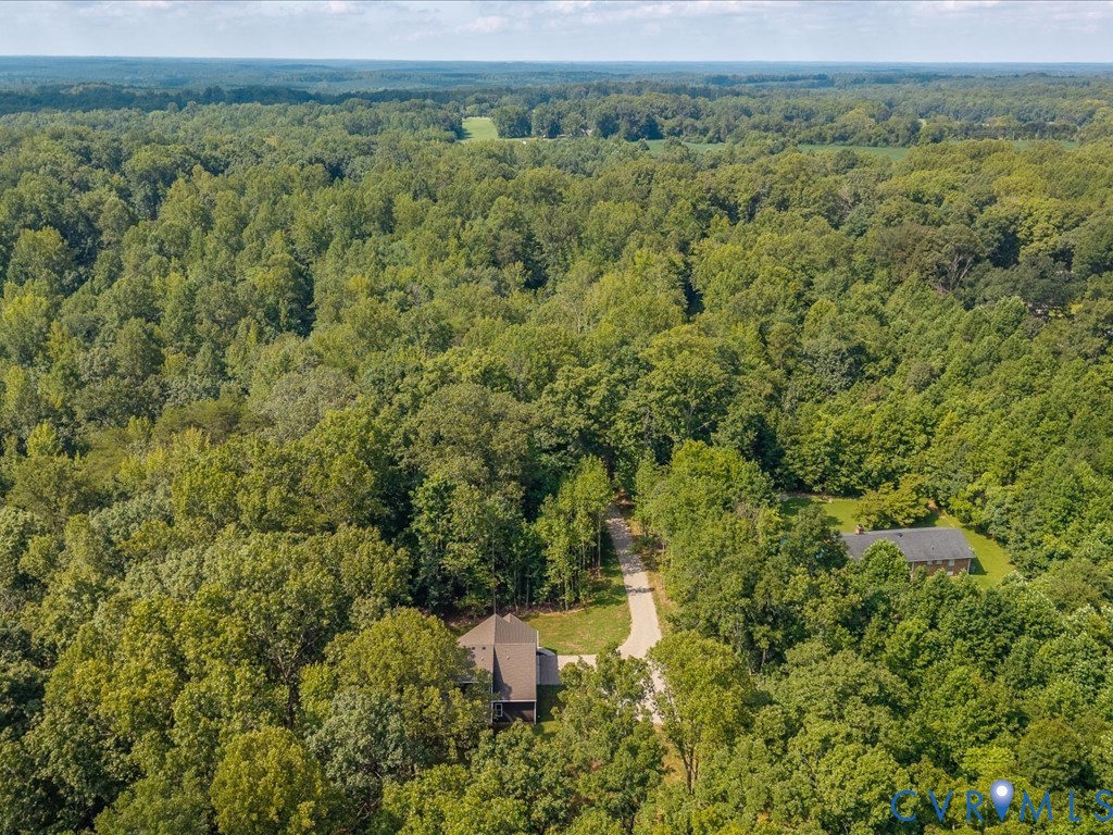 1146 Clayton Road Powhatan, VA 23139 - Photo 39 of 42 a view of a forest with a street