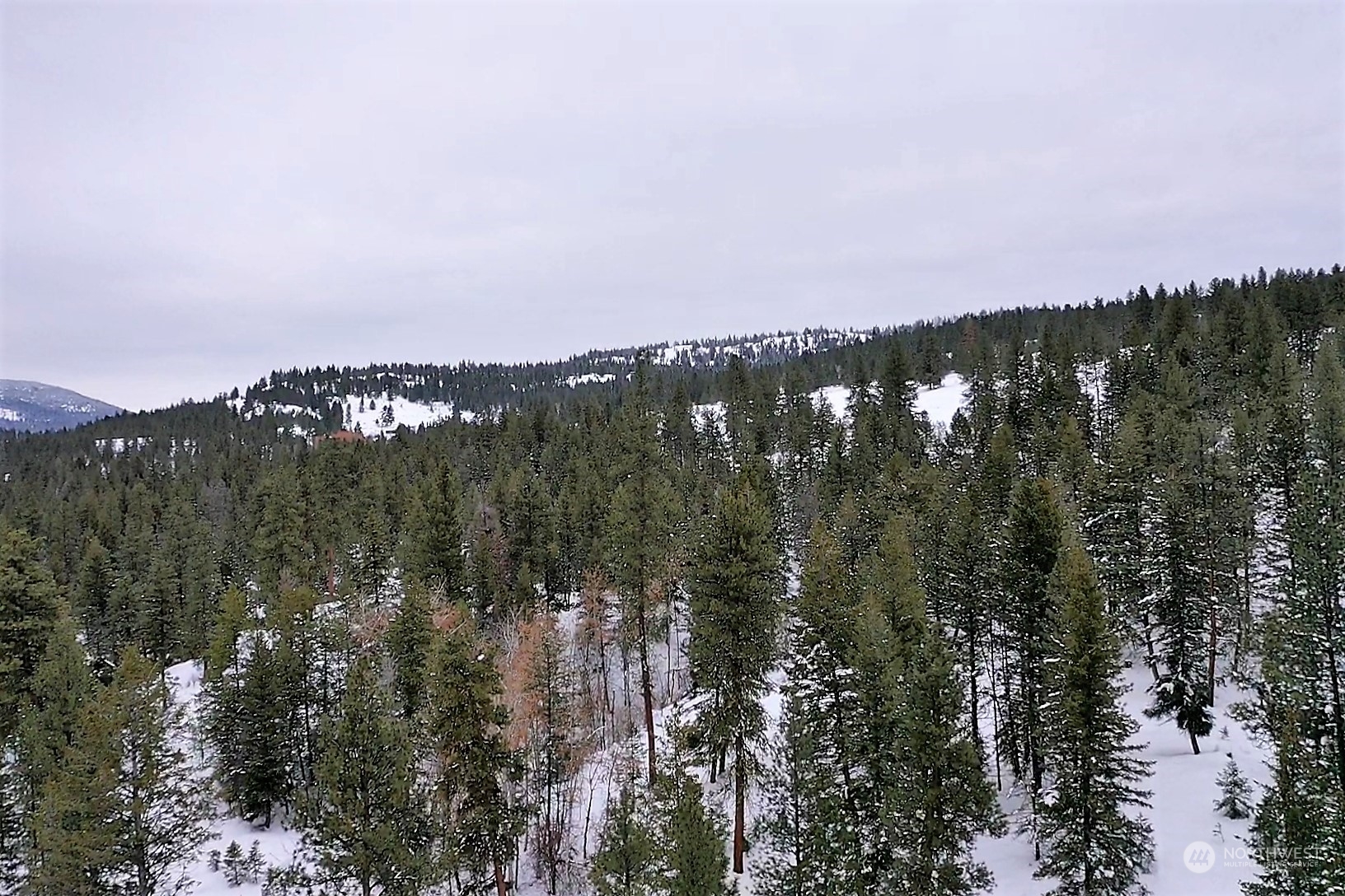141 Blue Meadow Road Tonasket, WA 98855 - Photo 15 of 33 a view of city and mountain