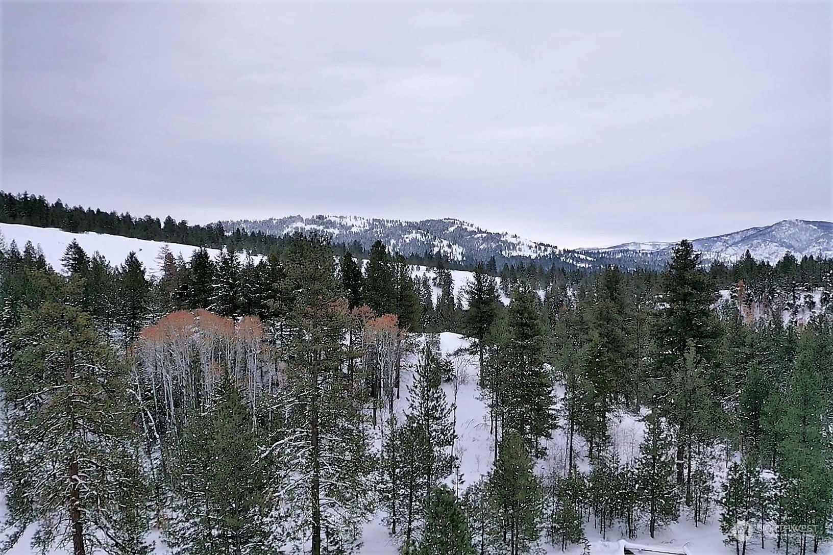 141 Blue Meadow Road Tonasket, WA 98855 - Photo 16 of 33 a view of a city