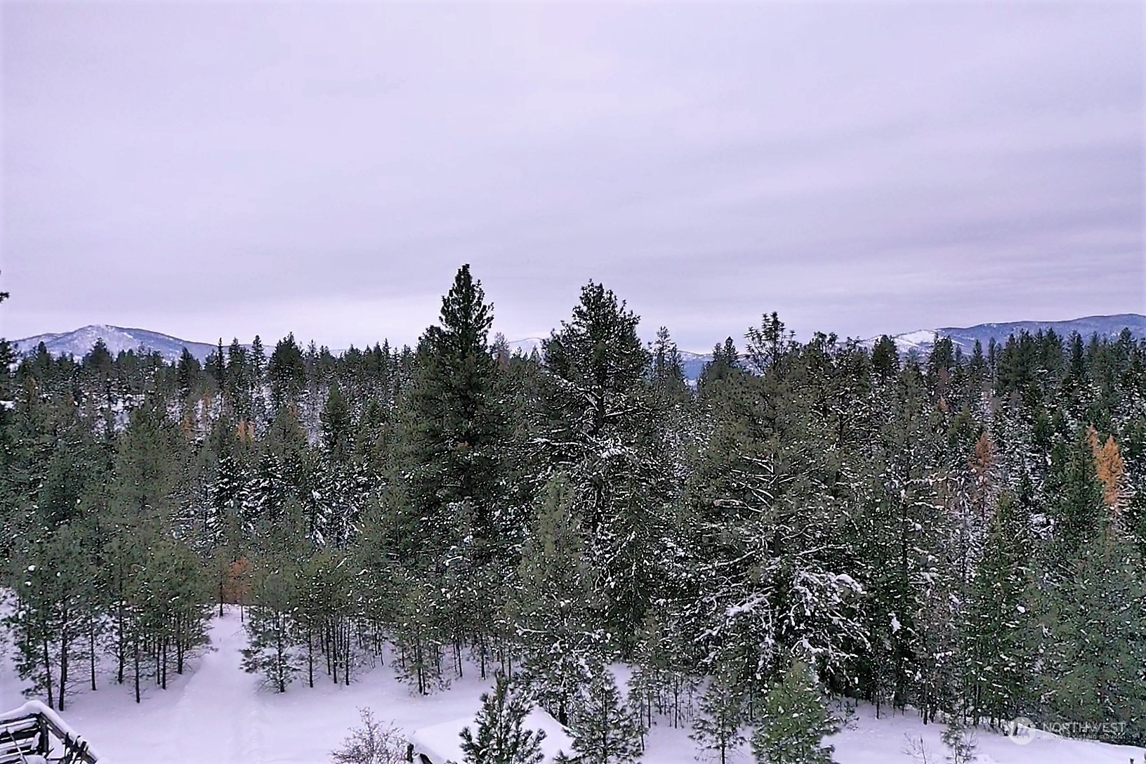 141 Blue Meadow Road Tonasket, WA 98855 - Photo 7 of 33 a view of a city with lots of trees
