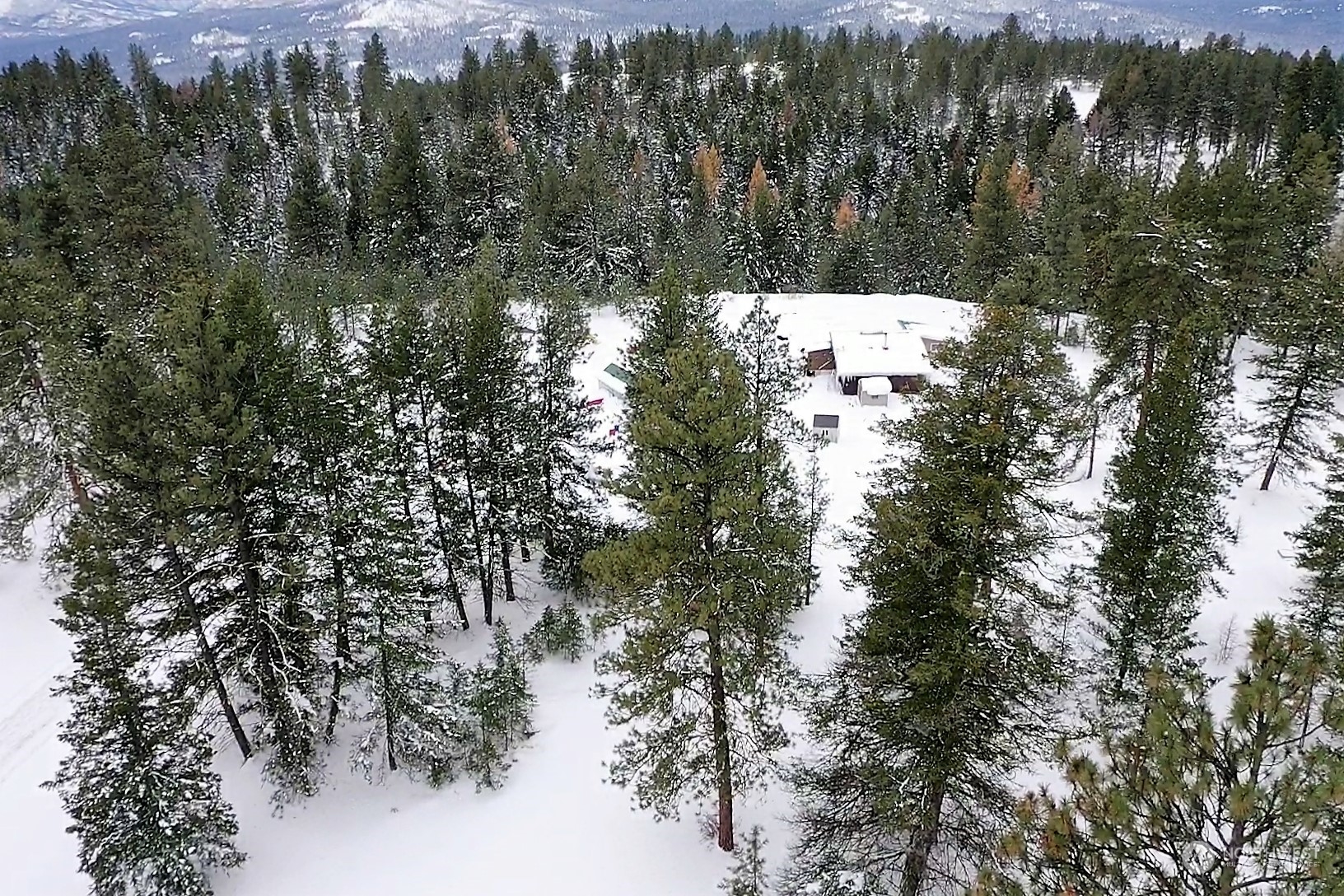 141 Blue Meadow Road Tonasket, WA 98855 - Photo 8 of 33 a view of mountain view with lots of trees