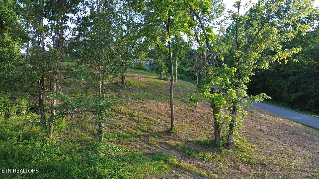 Grantsboro Road La Follette, TN 37766 - Photo 3 of 5 2026-06-25-19-39-01-981
