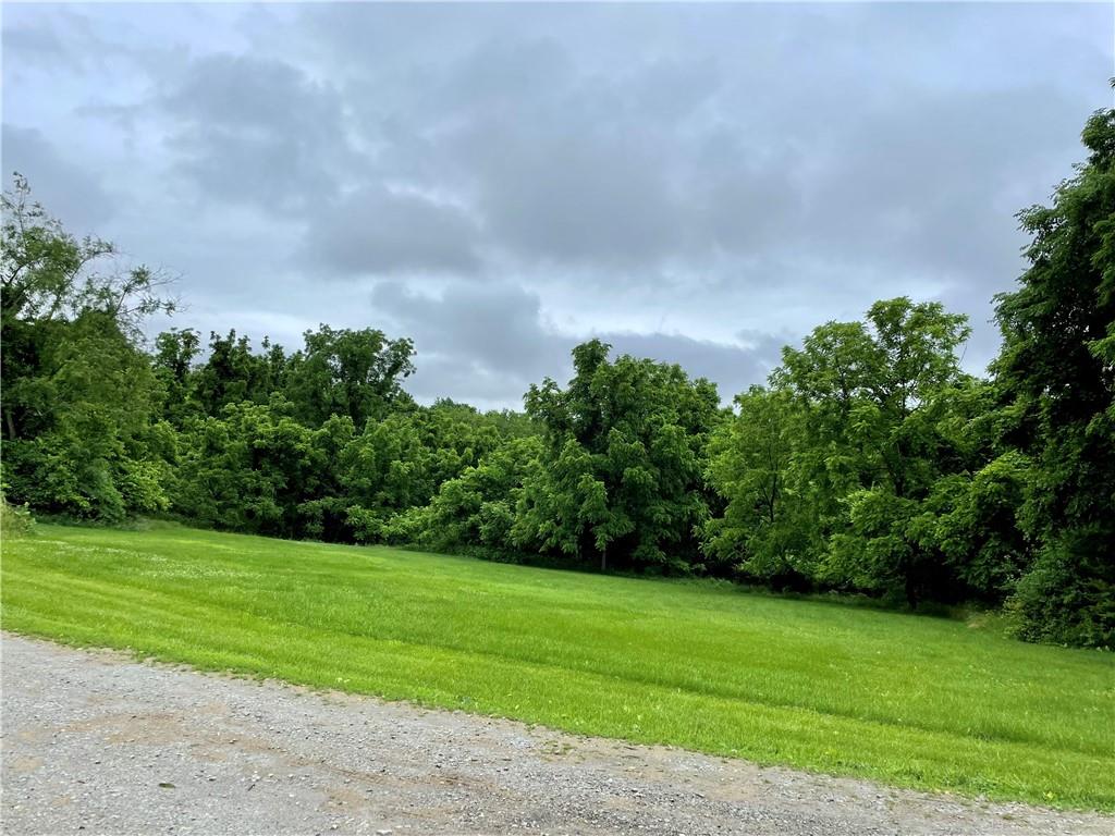 1027 Locust Avenue Washington, PA 15301 - Photo 5 of 6 a backyard of a house with lots of green space