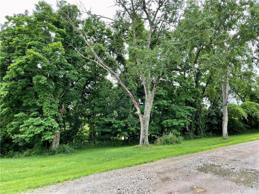 1027 Locust Avenue Washington, PA 15301 - Photo 6 of 6 a view of a park with large trees