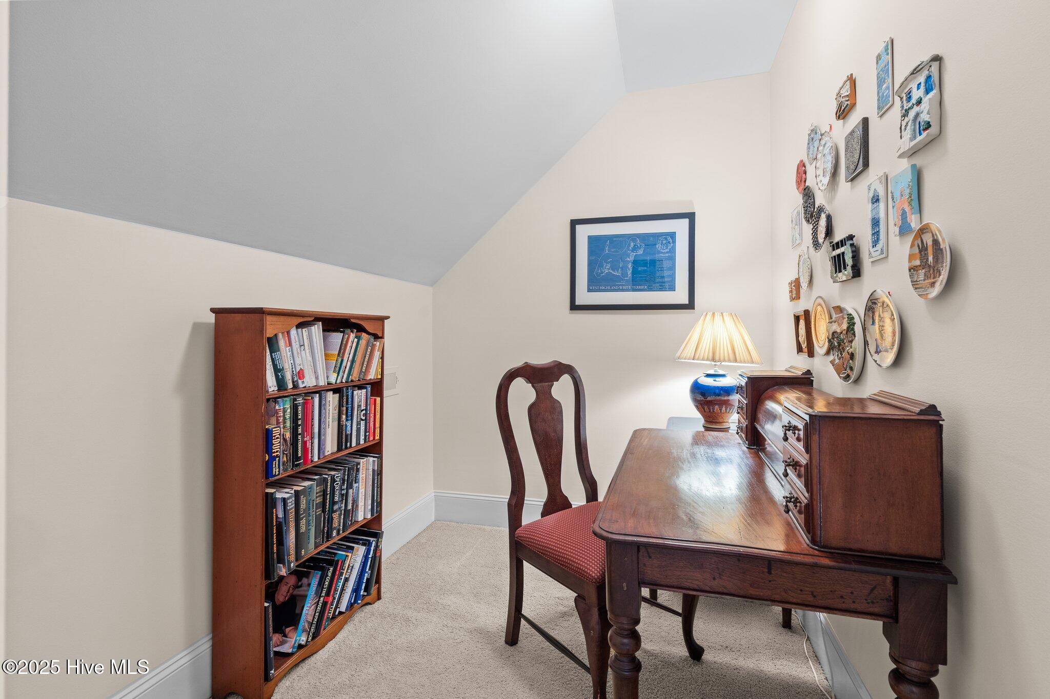 765 Broken Ridge Trail West End, NC 27376 - Photo 52 of 77 41-web-or-mls-DSC06461