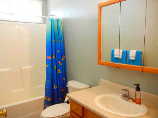 4800 Nonou Road Kapaa, HI 96746 - Photo 11 of 20 a bathroom with a sink toilet and shower