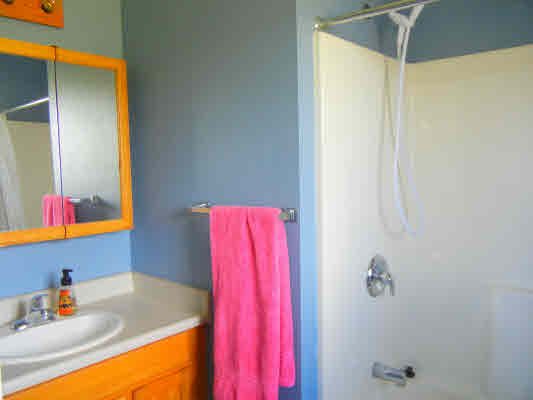 4800 Nonou Road Kapaa, HI 96746 - Photo 15 of 20 a bathroom with a sink and a mirror