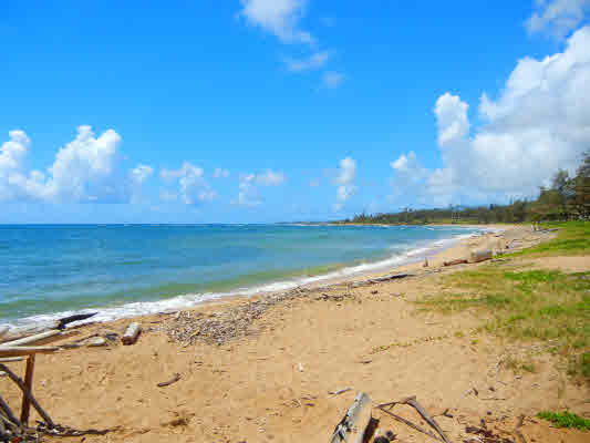 4800 Nonou Road Kapaa, HI 96746 - Photo 20 of 20 a view of an ocean and beach