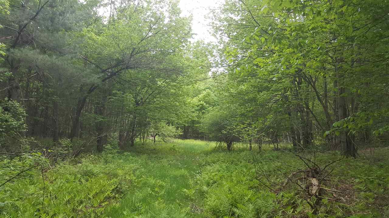 73 Cloverdale Road Underhill, VT 05489 - Photo 14 of 35 Gallery Image 14